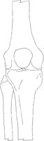 KNEE1RAL.PCX
