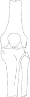 KNEE1LAL.PCX