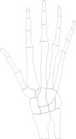 HAND1RSL.PCX