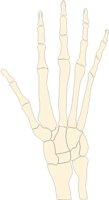 HAND1RSF.PCX