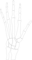 HAND1LSL.PCX