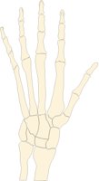 HAND1LSF.PCX
