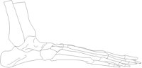 FOOT4RLL.PCX