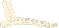 FOOT4RLF.PCX