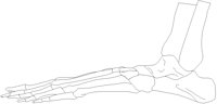 FOOT4LLL.PCX