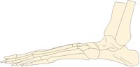 FOOT4LLF.PCX
