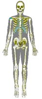 BONES.PCX