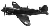 P40.PCX