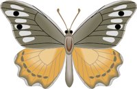 G0129746.wmf
