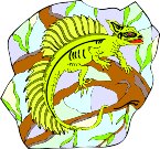 G0154598.wmf