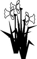 DAFFODIL.WMF