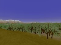 FOREST.GIF