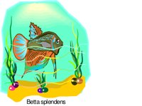 G0212536.wmf