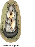 G0221612.wmf