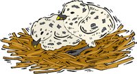 G0443797.wmf