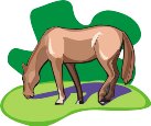 G0445719.wmf