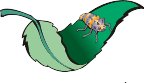 G1300955.wmf