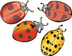 G1300960.wmf