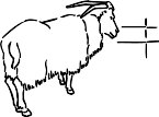 G1313593.wmf