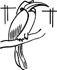 G1313607.wmf