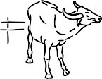 G1313643.wmf
