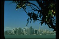 PSANF002.TIF