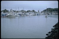 P81_071.TIF