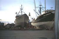 P41_071.TIF