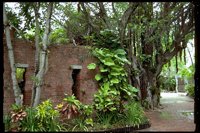 PLAMX019.TIF