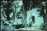 PLAMX006.TIF