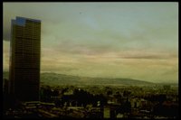 PLAMX005.TIF