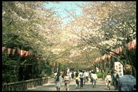 PJPNX006.TIF