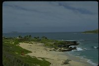 PBCH1009.TIF