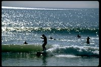 P070_040.TIF