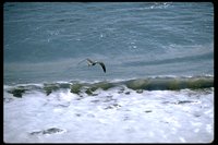P040_008.TIF