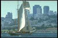 PSAIL13.TIF