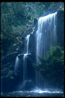 PWTRF32.TIF