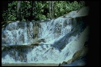 PWTRF01.TIF