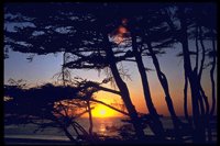 PSUNX074.TIF