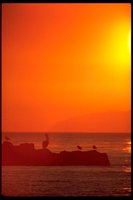 PSUNX066.TIF