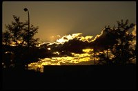 PSUNX041.TIF