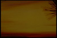 PSUNX033.TIF