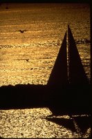 PSUNX021.TIF