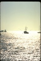 PSUNX019.TIF