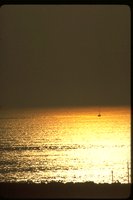 PSUNX015.TIF
