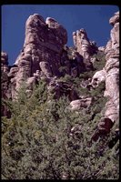 P088_050.TIF