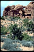 P043_051.TIF