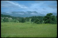 P032_086.TIF