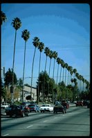P002_041.TIF