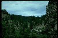 P52_084.TIF